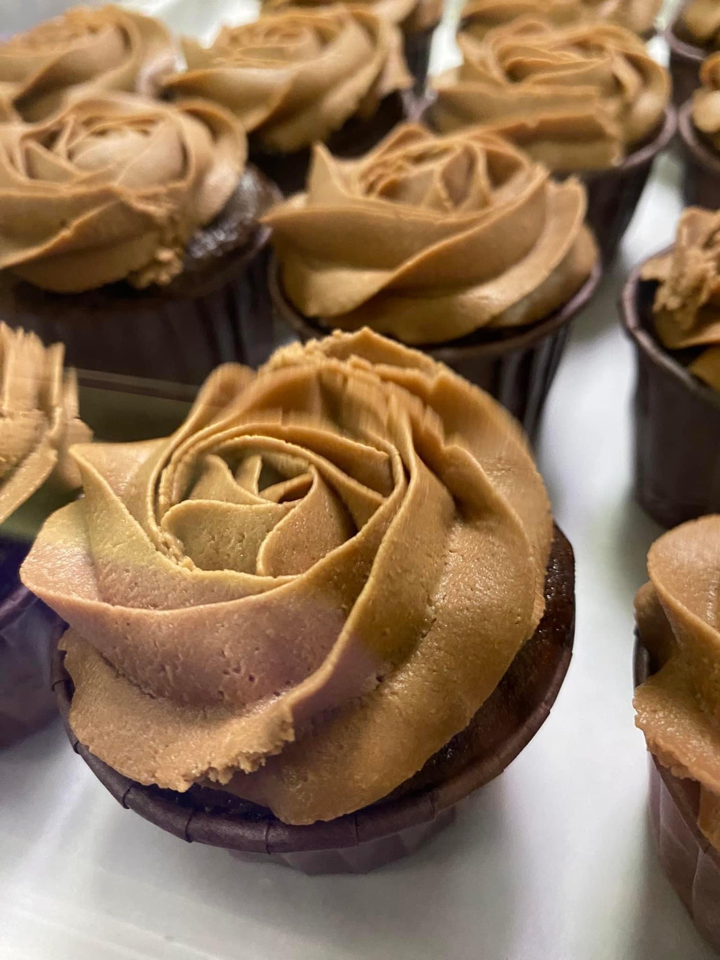 Chocolate Cake/Cupcake Mix